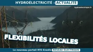 flexibilités locales RTE