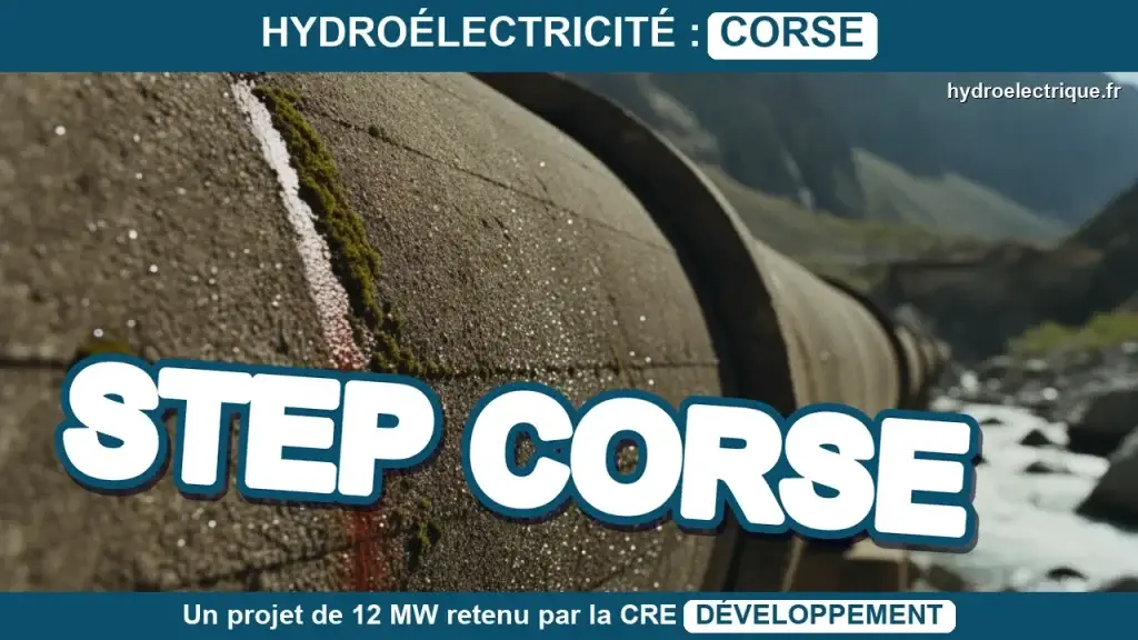 STEP corse