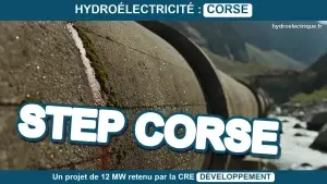 STEP corse